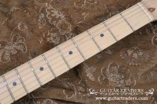 Fender 2001 Crashocaster Modeified_8