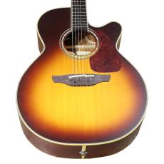 Takamine TN-520BS