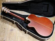 Takamine TN-520BS_3