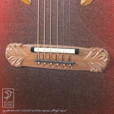 Ovation Adamas 1687GT-2_6