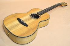 Breedlove Oregon Parlor P66E LTD_2