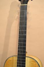 Breedlove Oregon Parlor P66E LTD_6