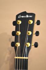 Breedlove Oregon Parlor P66E LTD_7