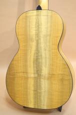 Breedlove Oregon Parlor P66E LTD_9
