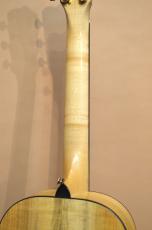 Breedlove Oregon Parlor P66E LTD_10