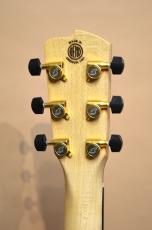 Breedlove Oregon Parlor P66E LTD_11