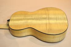 Breedlove Oregon Parlor P66E LTD_13