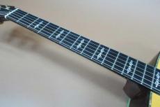 Taylor 2011BTO DNE-ADS/RW Custom / Built to Order・Adirondack Spruce Top・Indian Rosewood Side and Back・Abalone Trim and Rosette・Ebony Fingerboard and Bridge・Gloss Finish・Expression System【With Original Ha_8