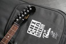 Provision TEC-AM001 LA/BK　初期モデル　SHISHAMO 宮崎朝子　シグネチャーモデル_2