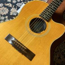 Gibson Chet Atkins SST Antique Natural_4