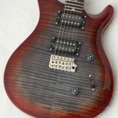 Paul Reed Smith [PRS] 2025 SE CUSTOM 24 ～Charcoal Cherry Burst～ #CTIH011204 [3.72kg]【48回無金利】