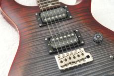 Paul Reed Smith [PRS] 2025 SE CUSTOM 24 ～Charcoal Cherry Burst～ #CTIH011204 [3.72kg]【48回無金利】_7