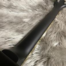 Epiphone Les Paul Ultra-Ⅲ【現物画像】_10