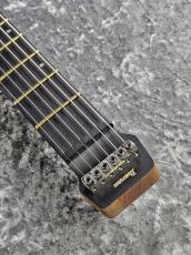 Ibanez Q52PE-NTF_4