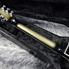 Epiphone Adam Jones Les Paul Custom Art Collection "Self-Portrait as Not Dead Yet"_6