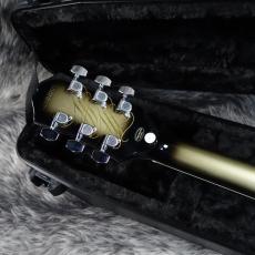 Epiphone Adam Jones Les Paul Custom Art Collection "Self-Portrait as Not Dead Yet"_8