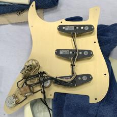 Vanzandt ST Type Relic_10