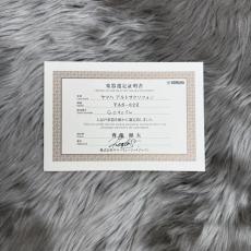 YAMAHA YAS-82Z E♭ アルトサックスYAS82Z_9