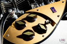 Rickenbacker 325V59 / 1994_6