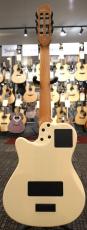 Godin 【年末特大セール】【USED】Multiac Mundial Ozark Cream '24年製_6