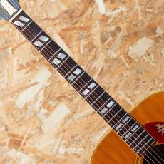 Gibson DOVE NT 1969_6