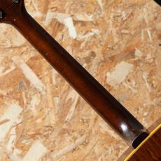 Gibson DOVE NT 1969_7