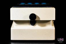 BOSS DD-3T Digital Delay_4