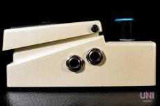 BOSS DD-3T Digital Delay_5