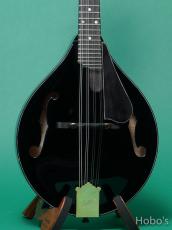 HATTA Works (八田 淳史) HM-A5 Beetle