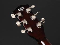 VOX SSC-33 ~Gold Top~_9