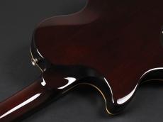 VOX SSC-33 ~Gold Top~_10