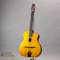 Stringphonic Basic Limited Plus