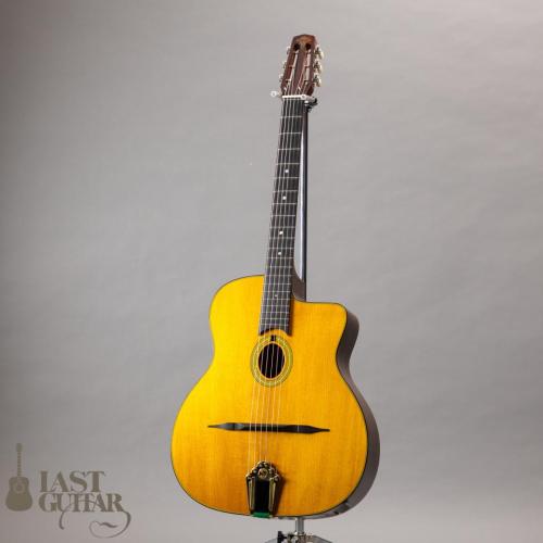 Stringphonic Basic Limited Plus