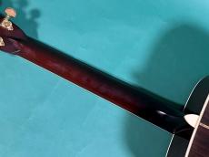 Rider CUSTOM MODEL R-1000_8