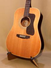 Guild D-40_2