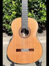 Aiersi Guitar SC096R-J【オールソリッド|杉&ローズ】好評につき在庫追加しています!_3