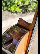 Aiersi Guitar SC096R-J【オールソリッド|杉&ローズ】好評につき在庫追加しています!_5