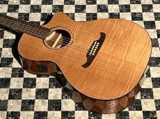 Fender FA-345CE Auditorium_3