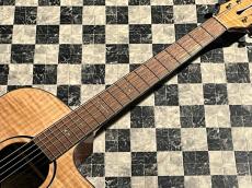 Fender FA-345CE Auditorium_6