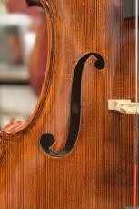 Gliga 【チェロ】 Gama II 【池袋店】_5