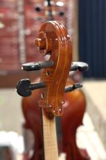 Gliga 【チェロ】 Gama II 【池袋店】_6