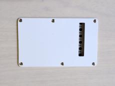 DEREK CUSTOM GUITAR Custom ST Ash/WB_14