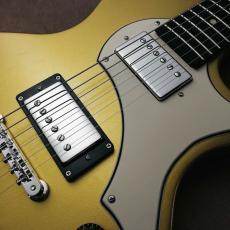 B.A. Ferguson Guitars Standard Walker Gold_9