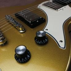 B.A. Ferguson Guitars Standard Walker Gold_10