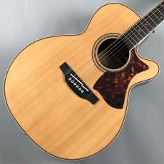 Takamine DNP50S