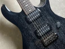 Paul Reed Smith [PRS] SE CE 24 Standard Gloss/Black Doghair【現物画像・3.13kg】【横浜ビブレ店】_4