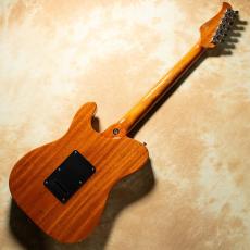 Kz Guitar Works Kz TL Trad Semi-Hollow 22 2H5 w/ Kz NUE_4