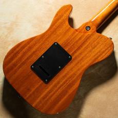 Kz Guitar Works Kz TL Trad Semi-Hollow 22 2H5 w/ Kz NUE_5