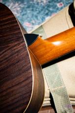 Taylor GS Mini-e Rosewood / 2020_10