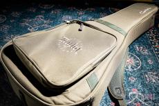 Taylor GS Mini-e Rosewood / 2020_11